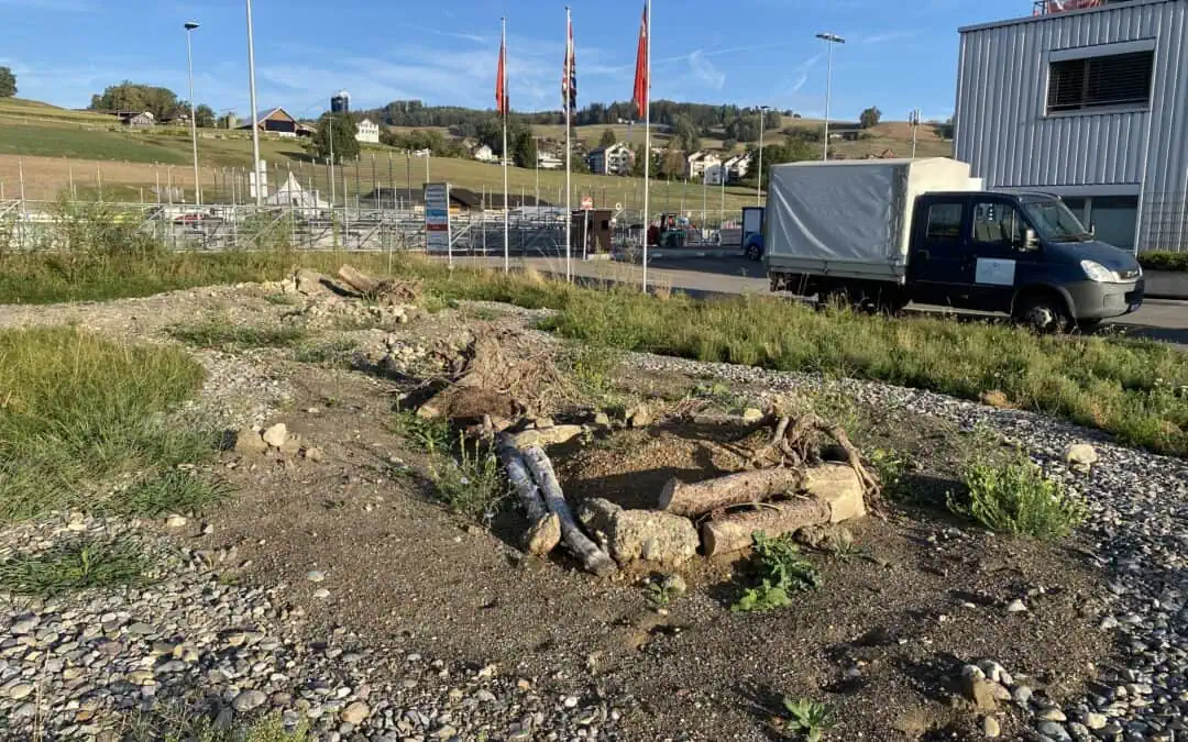 Förderung der Siedlungsökologie auf dem Tennisplatzareal in Tuggen